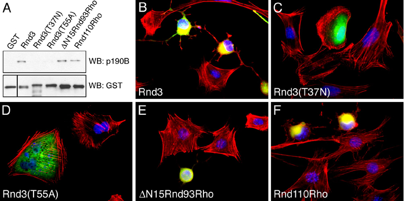 Figure 3: