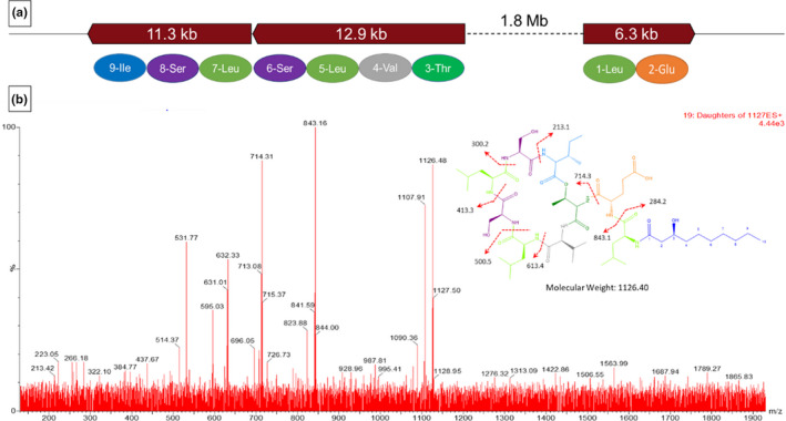 FIGURE 4