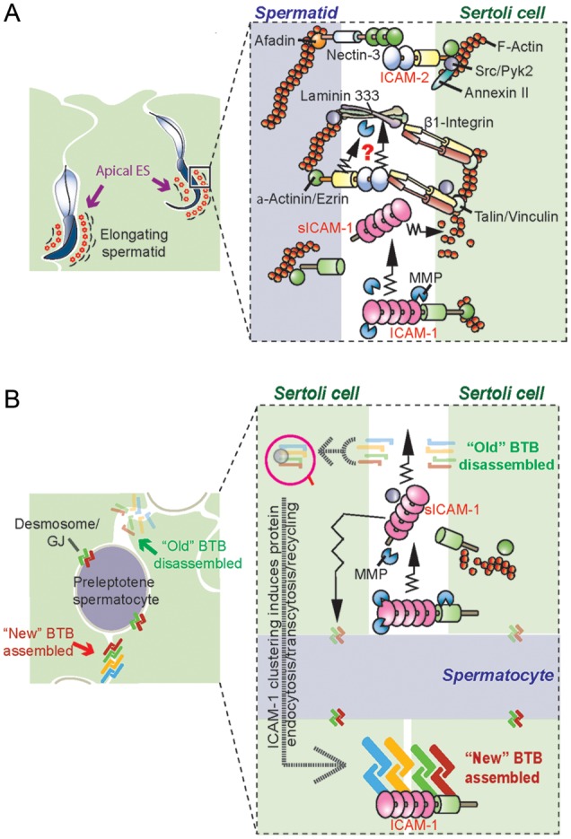 Figure 5
