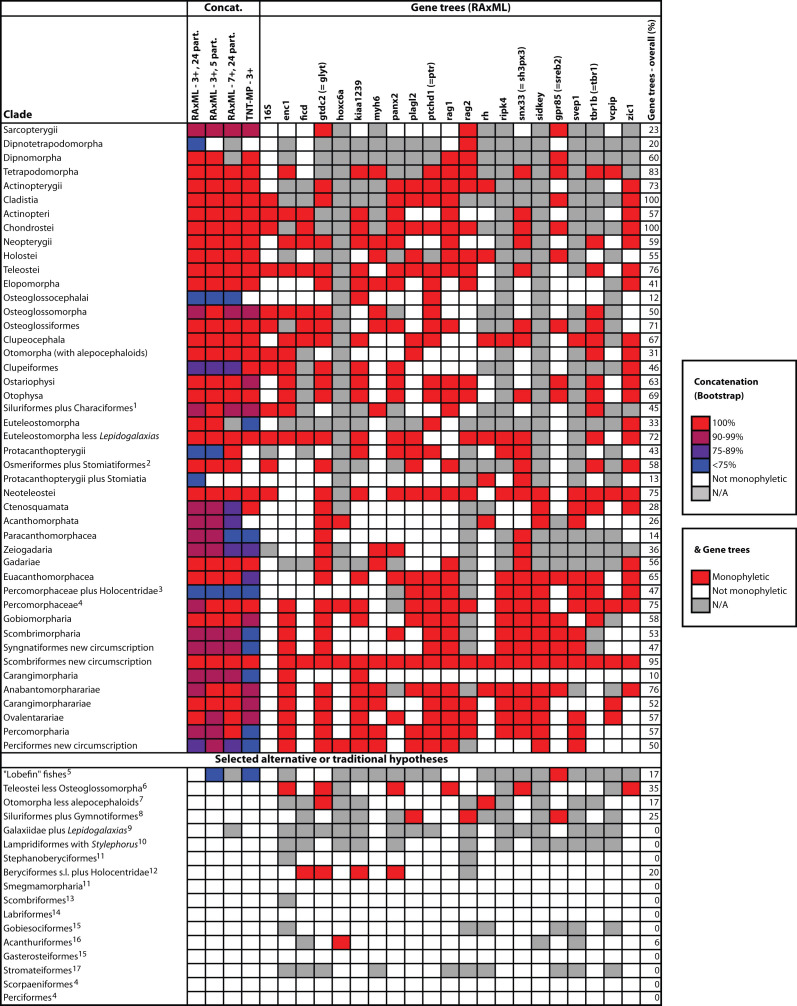 Sensitivity analyses for selected clades obtained in this study (shown in Figs. 1, 3-10) and for selected alternative hypotheses.