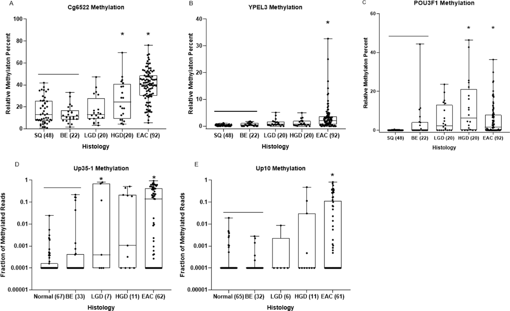 Figure 2: