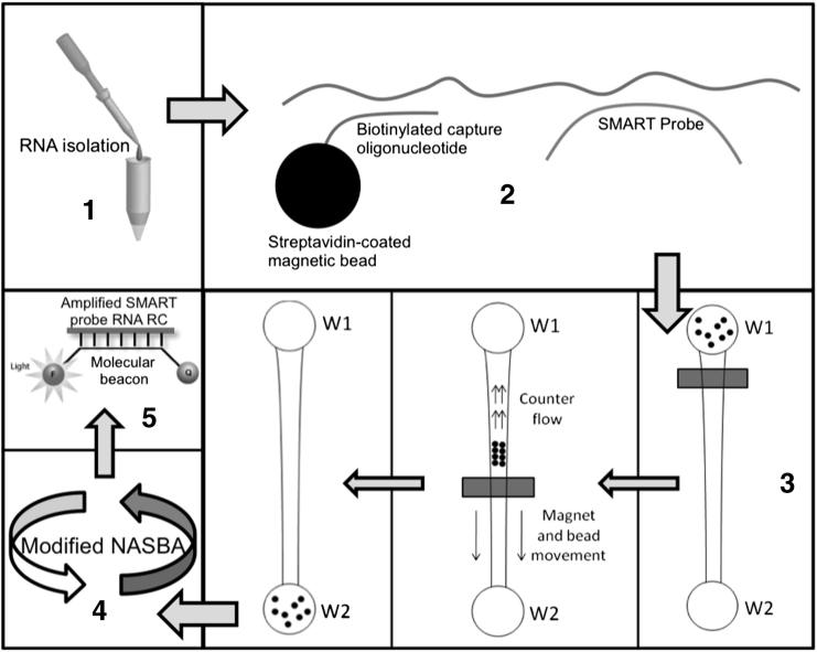 Figure 1