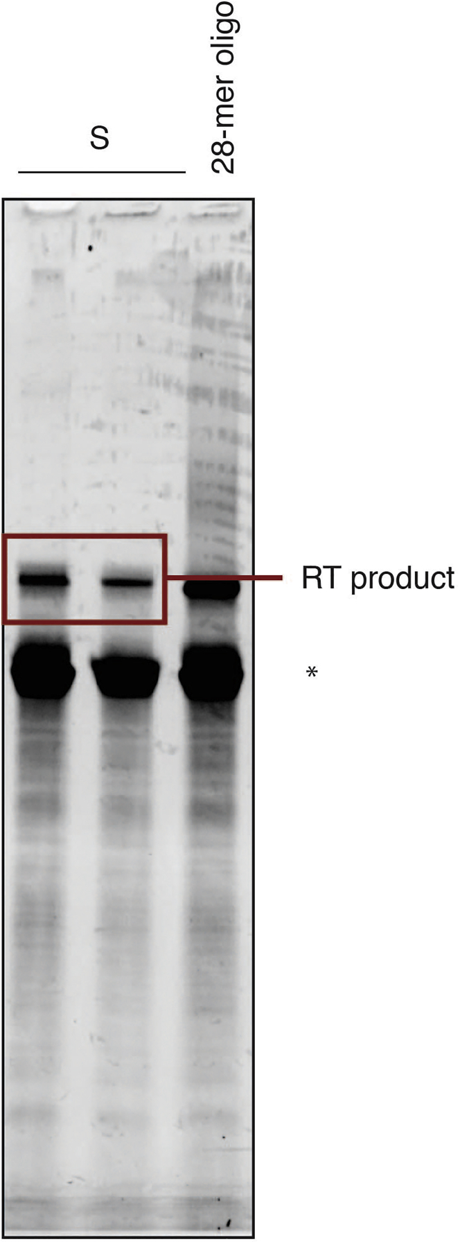 Figure 3