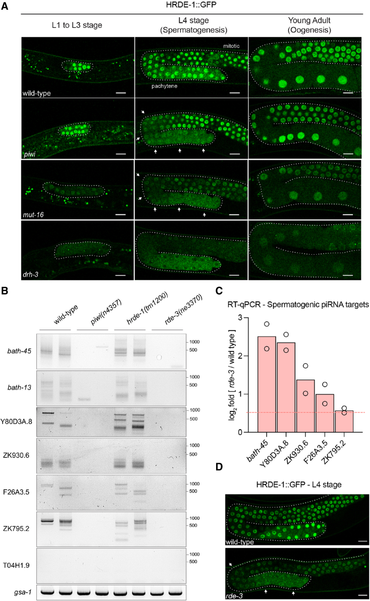 Figure 2