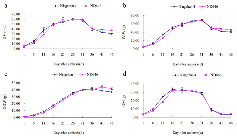 Figure 5 -