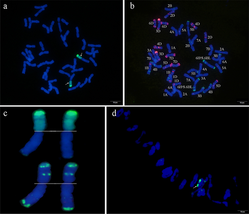 Figure 2 -