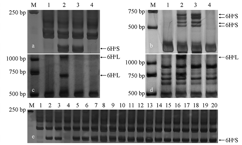 Figure 3 -