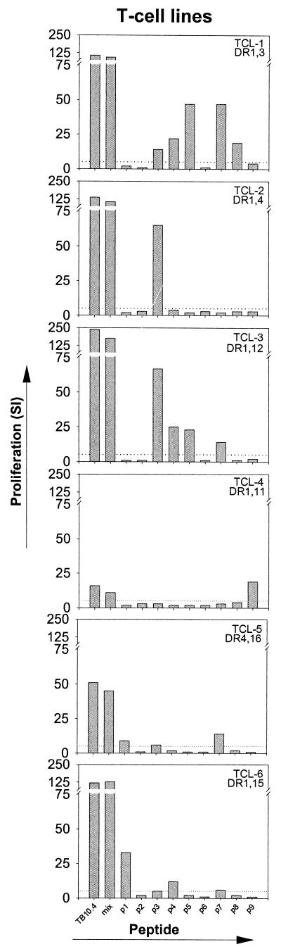 FIG.2.