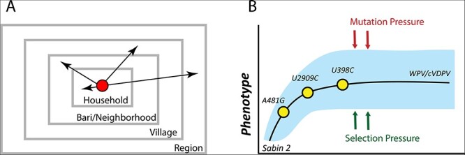 Figure 1.