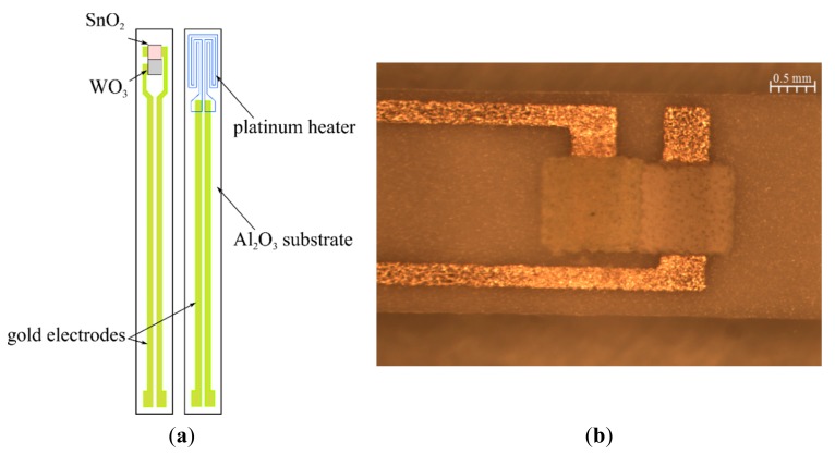 Figure 1.