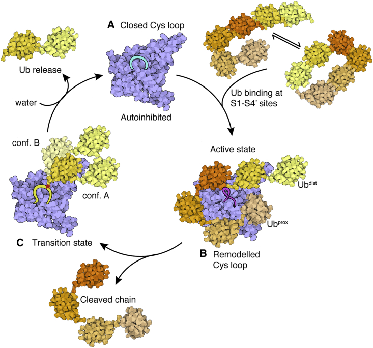 Figure 7