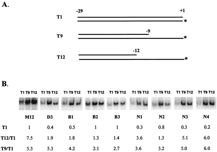 FIG. 6