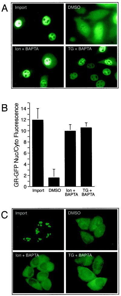 FIG. 7.