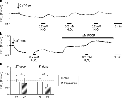 Fig. 3