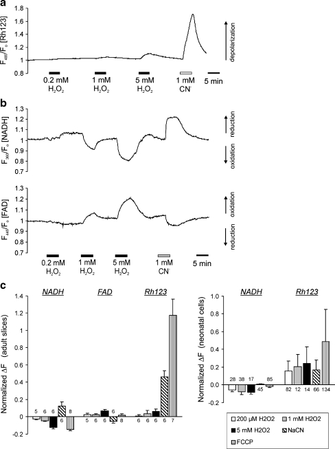 Fig. 7