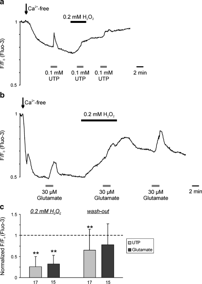 Fig. 6