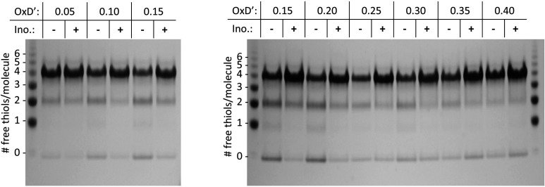 Figure 6—figure supplement 1.