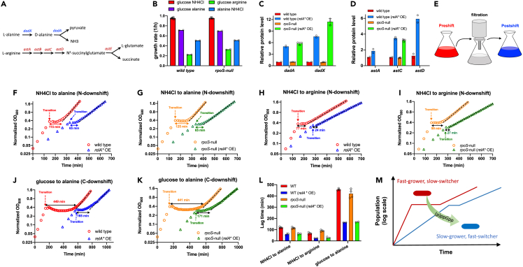 Figure 6