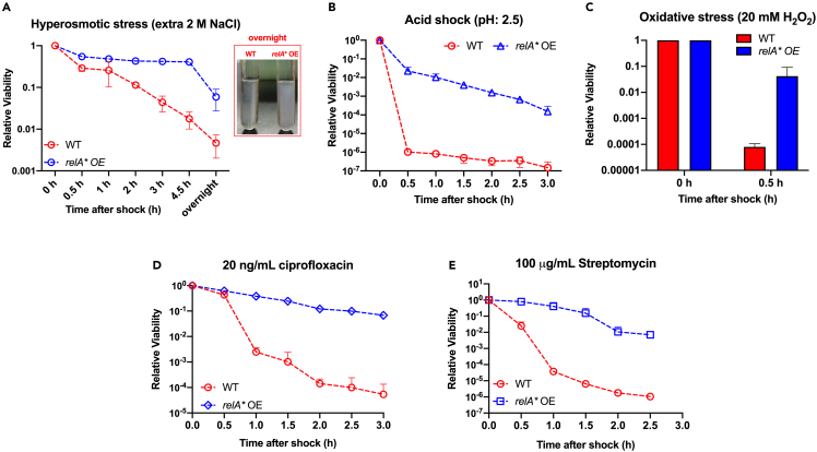 Figure 3