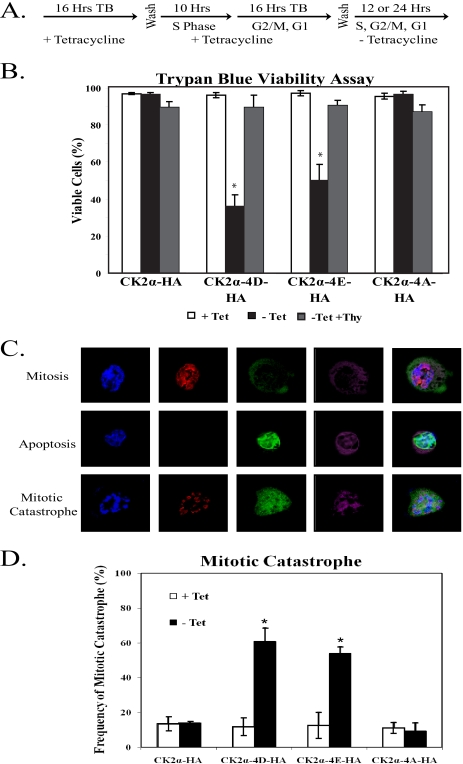 FIG. 6.