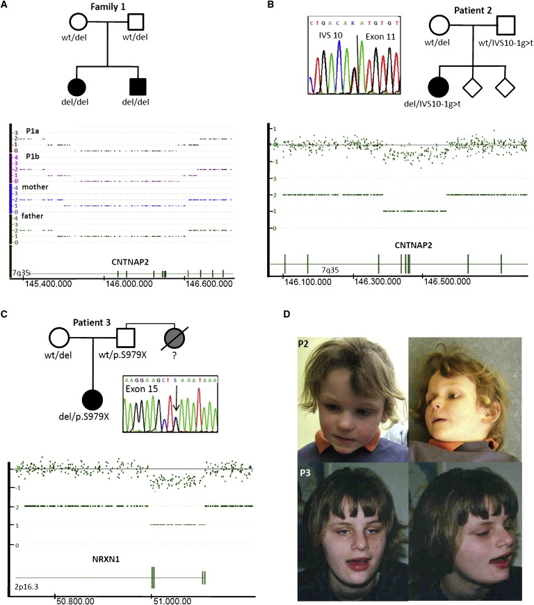 Figure 1