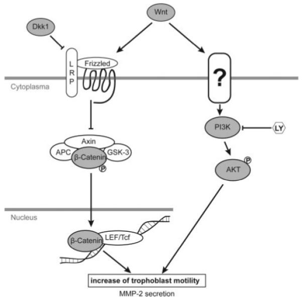 FIG. 6