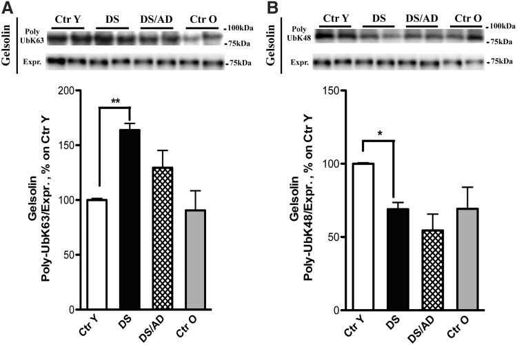 FIG. 6.