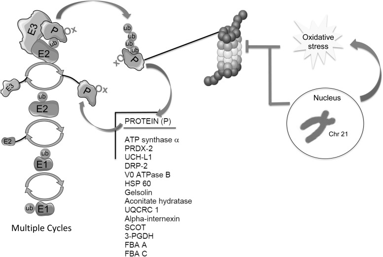 FIG. 10.