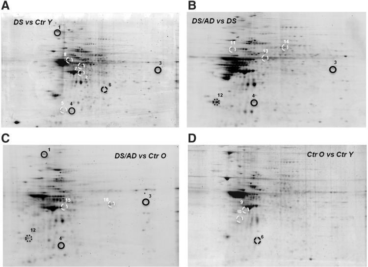 FIG. 4.