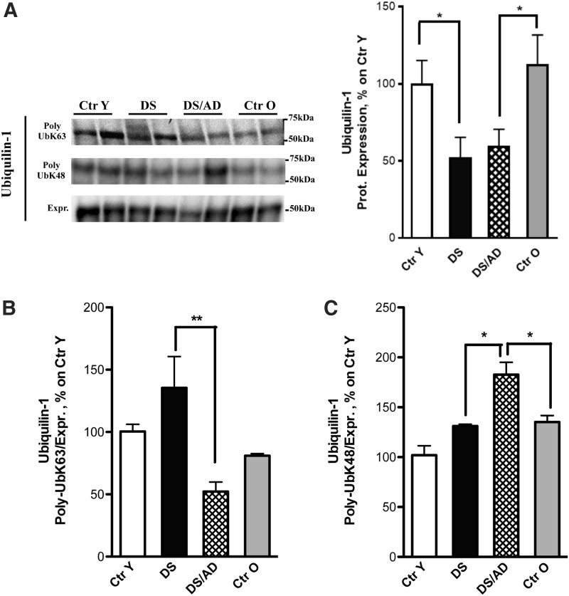 FIG. 7.