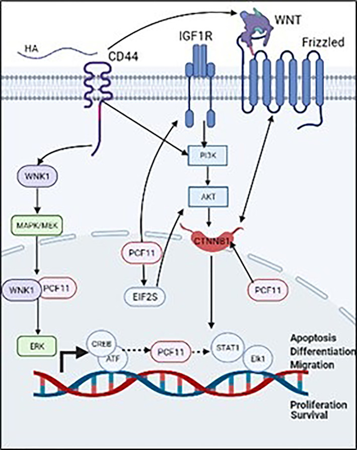 Figure 2