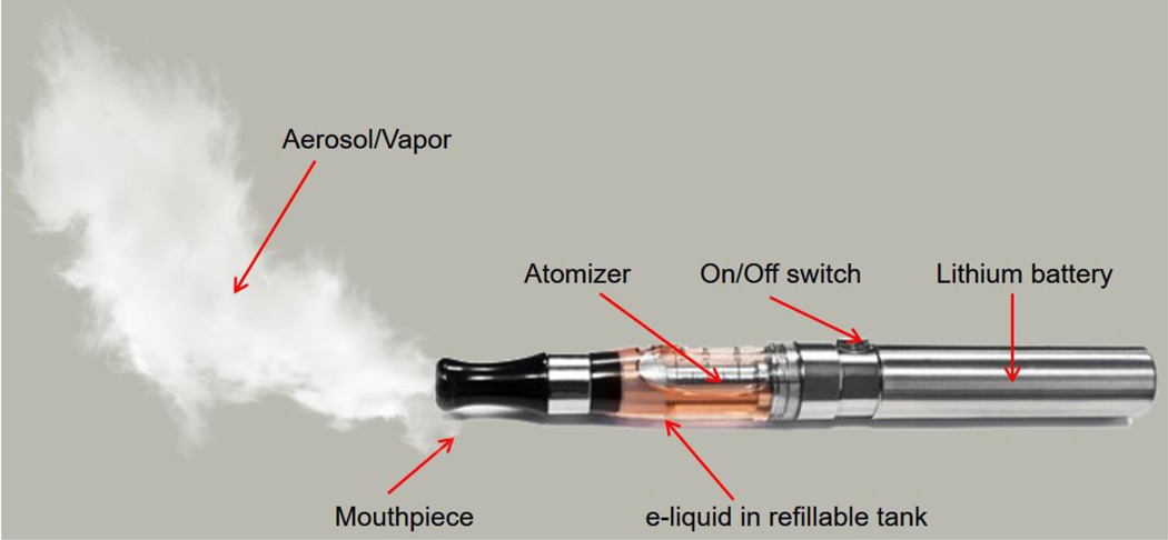 Figure 1