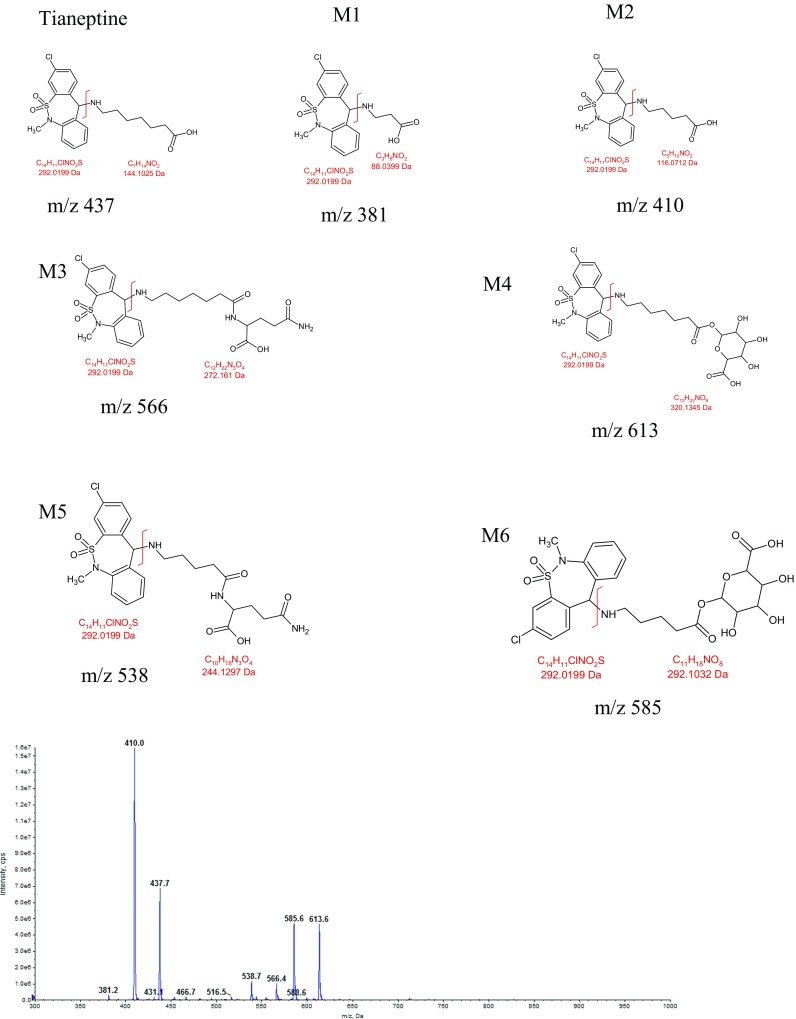 Fig. 7