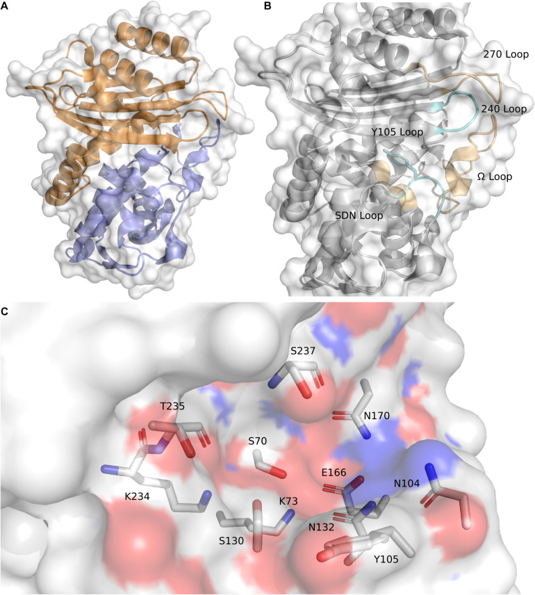 FIGURE 1