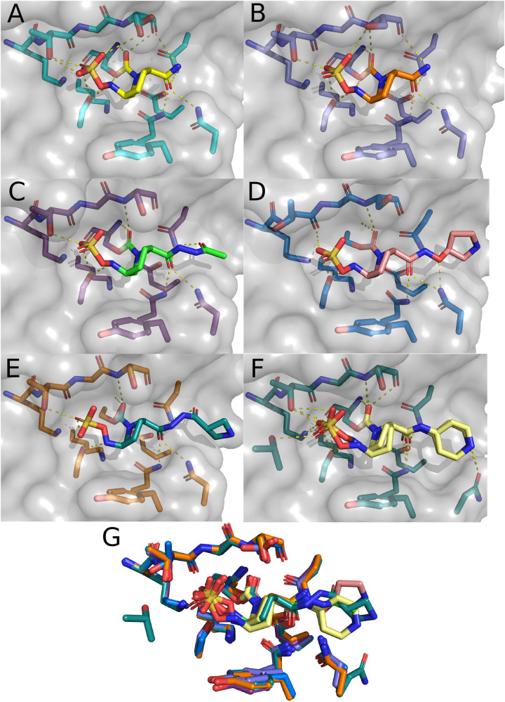 FIGURE 4