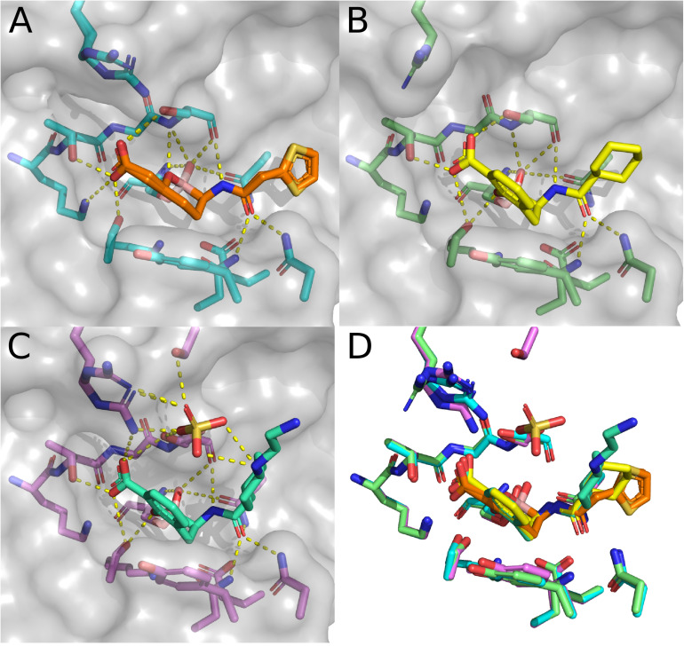 FIGURE 6