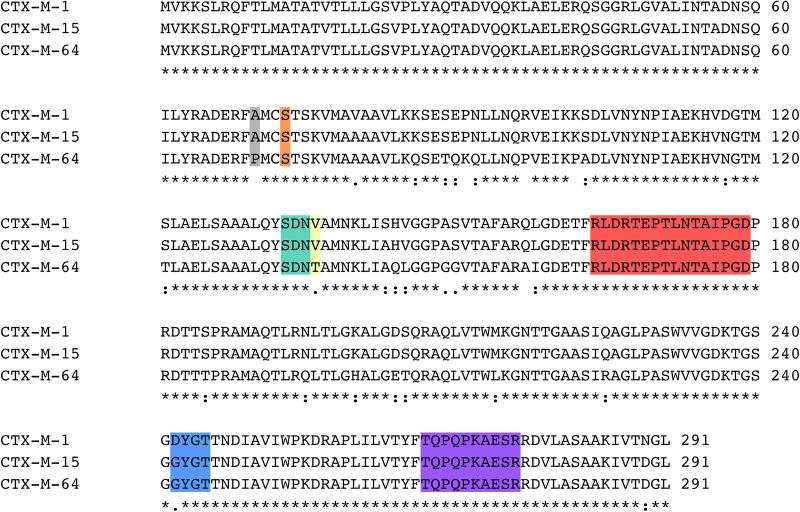 FIGURE 3