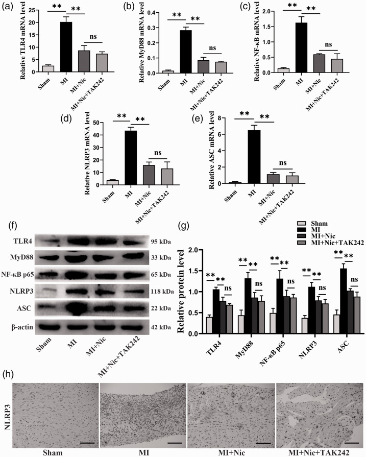 Figure 6.