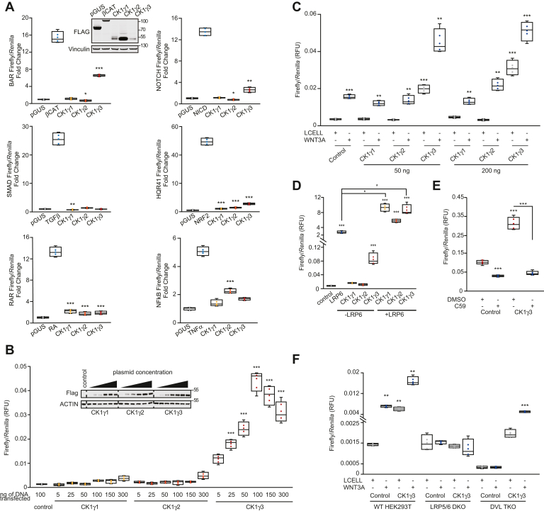 Figure 2