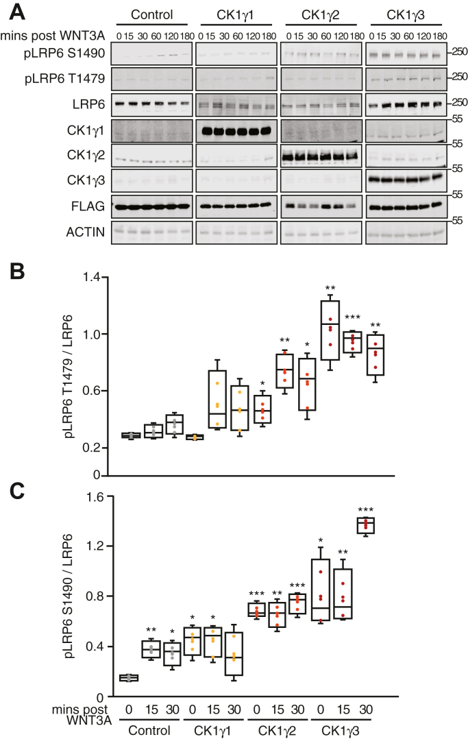 Figure 3