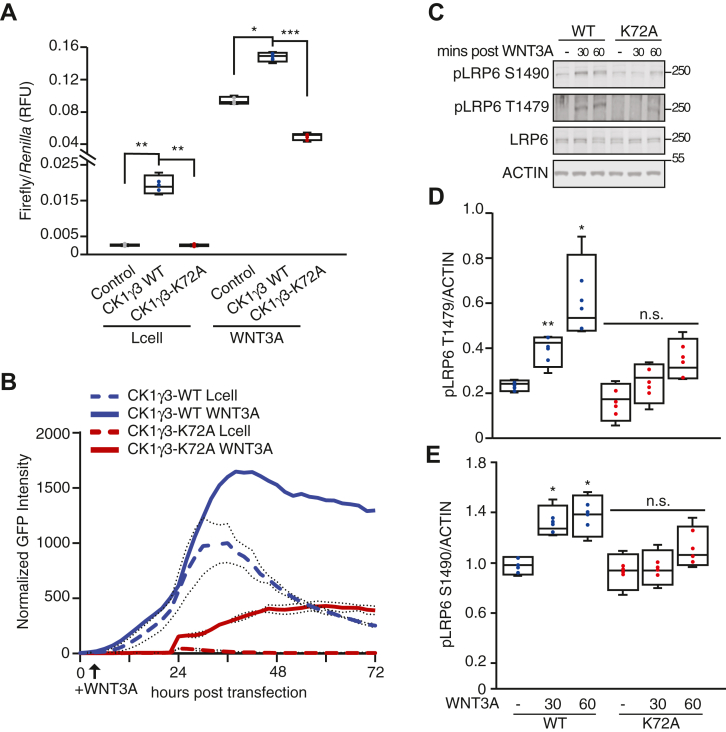 Figure 4