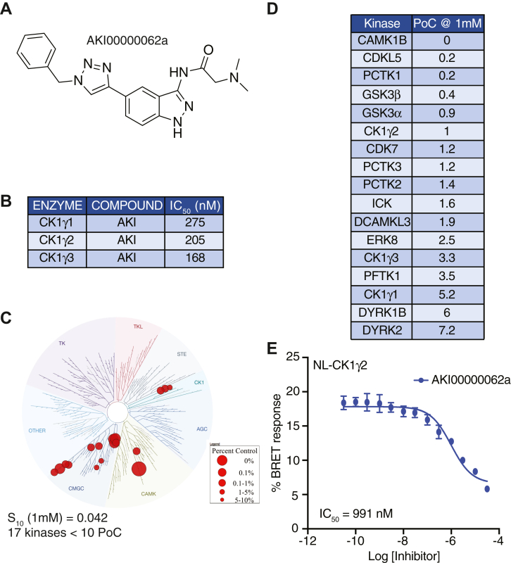 Figure 6