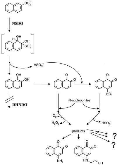 FIG. 7.