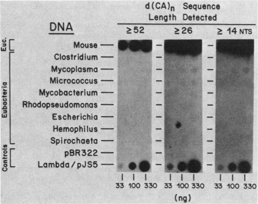 graphic file with name molcellb00092-0263-a.jpg