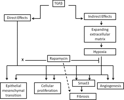 Fig 10