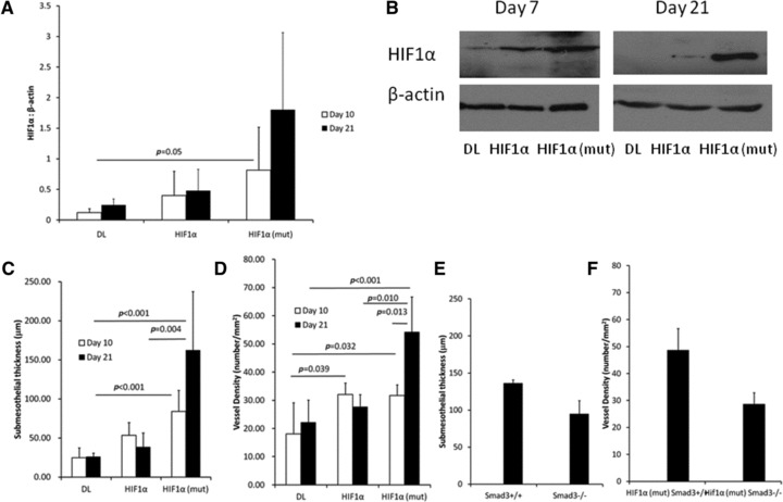 Fig 8