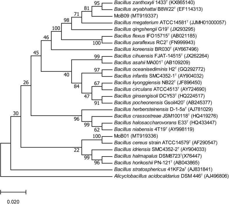 FIGURE 3