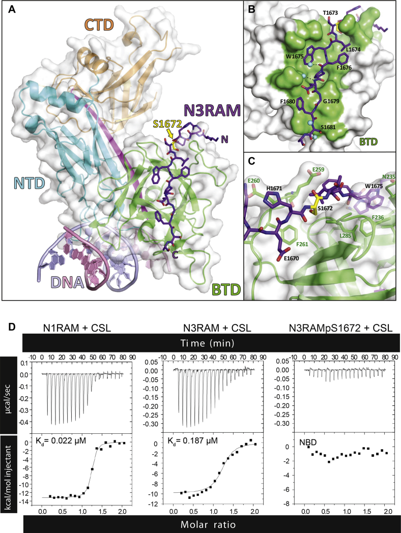 Figure 4