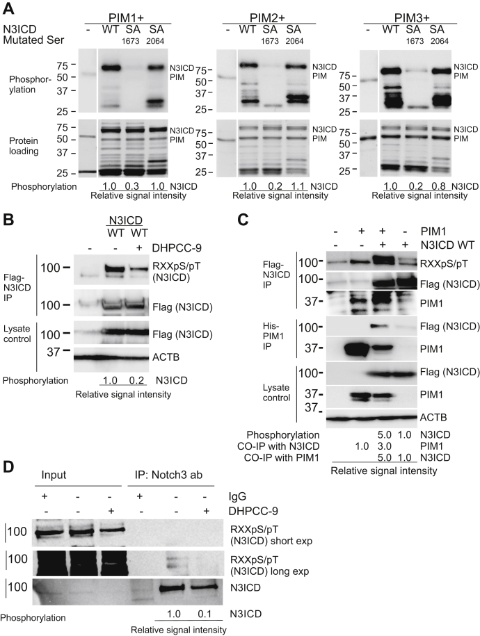 Figure 2