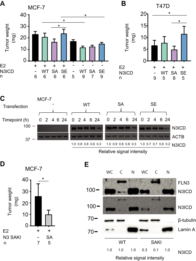 Figure 6